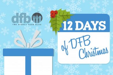 TODAY ONLY! Get 20% Off ALL DFB Store Products for DFB’s 12 Days of Christmas!