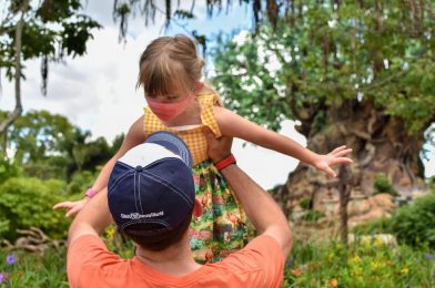 Should Disneyland Adopt a MagicBand System For a Safer Reopening?