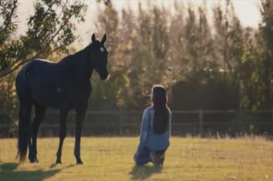 VIDEO! Disney+ Just Dropped the ‘Black Beauty’ Trailer!