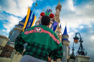 These NEW Pullovers in Disney World Feature Some Fan-Favorite Characters!