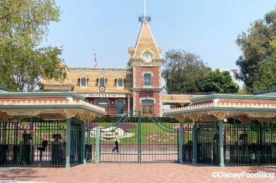 Here Are the Construction Projects Going On Behind the Closed Disneyland Resort Gates!