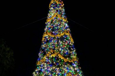 PHOTOS – EPCOT’s Christmas Tree Arrives and Coronado Springs Resort’s Holiday Decorations Shine