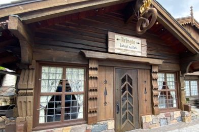 Harambe Market in Disney’s Animal Kingdom Rolls Out MORE Menu Changes Ahead of Reopening!