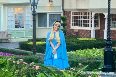 What’s New at EPCOT: Face Mask Price Hikes, Frozen Ever After Closes for Refurb, and MORE!