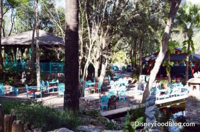 INFOGRAPHIC! The Ultimate Guide To The BEST Outdoor Dining in Disney World!