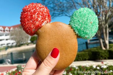 PHOTOS: These Oven Mitts at Disney World Are Holiday Baking Essentials!