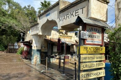 PHOTOS AND REVIEW: Harambe Market Has Officially Reopened at Disney World’s Animal Kingdom!