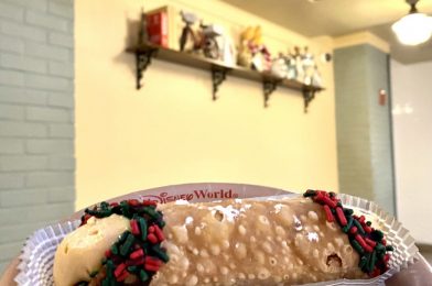 REVIEW – The Pumpkin Cheesecake Cannoli Sticks Around for the Holidays at Hollywood Studios