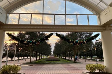 PHOTOS – Disney’s Contemporary Holiday Decorations Are Up