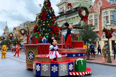 20 Magical Photos and Videos From Our Day At Disney World!