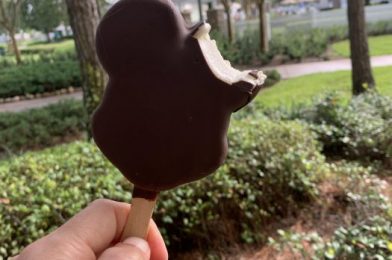 Disney in a Minute: What is a Mickey Bar?