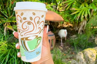 Review! It’s Time Once Again for Irish Coffee in Disney’s Animal Kingdom