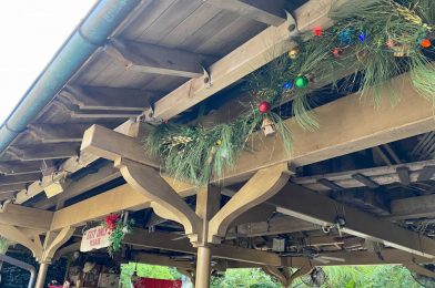 Five Reasons Why We Love the Jingle Cruise