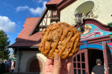 PHOTOS! We’ve Got Frozen Fever for the Returning ‘Frozen 2’ Sipper in EPCOT! ❄️