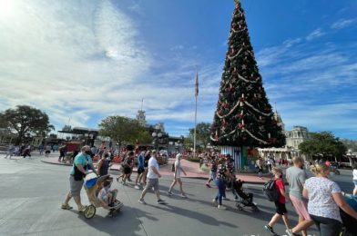 What’s New at Magic Kingdom and Monorail Resorts: Huge Crowds and a Late Cupcake!