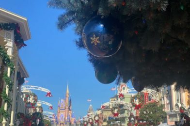 Photos and Videos! Uhm…Where Have the Holiday Crowds in Disney World Gone?!