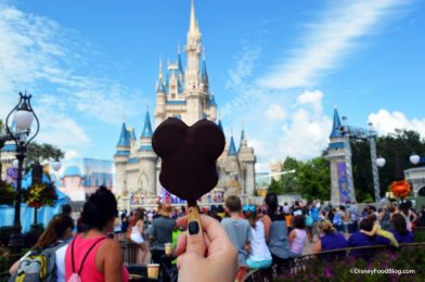 We Found Individually-Wrapped Mickey Ice Cream Bars in Our Grocery Store!