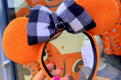 We Found a NEW Buffalo Plaid Merchandise Collection in Disney World