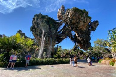 What’s New at Disney’s Animal Kingdom: TONS of Holiday Pins and Simba Pretzels Disappear Again!