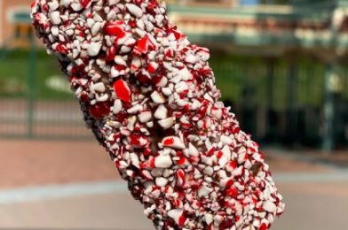 Review: A Candy Cane Marshmallow Wand in Downtown Disney? YES, PLEASE!