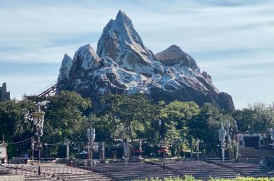 Where to Find the Exits for Disney’s Animal Kingdom’s Most Popular Rides