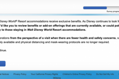 New Disney Survey with Some Unique Options for Future Benefits?