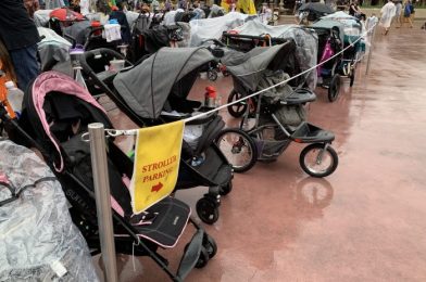 Disney in a Minute: What is Stroller Parking?