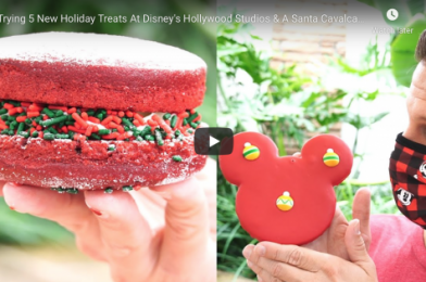 TRYING 5 NEW HOLIDAY TREATS AT DISNEY’S HOLLYWOOD STUDIOS