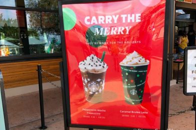 Holiday Drinks Have Returned to Starbucks Locations in Disney World (And We’re Trying FOUR Of Them)!