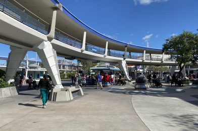 PHOTO REPORT: Magic Kingdom 11/23/20 (Friar’s Nook and Lunching Pad Breakfast, Cinderella Carriage Photo-Op Returns, PeopleMover Support Painting Complete, and More)