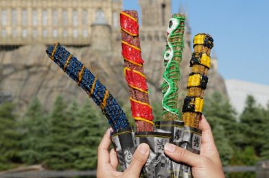 REVIEW: NEW “Harry Potter” Hogwarts House Churros Show Our School Pride at Universal Studios Japan