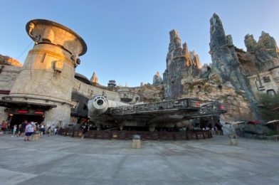 PHOTOS! Star Wars: Galactic Starcruiser Construction Update in Disney World!