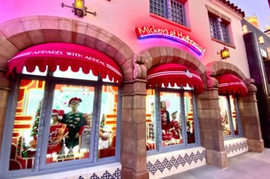 What’s New at Hollywood Studios: NEW rise Boarding Process, the Coolest Ornaments Ever, and a Spaceship Cookie Jar