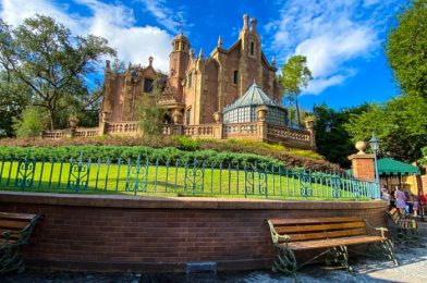 SPOTTED: Haunted Mansion Boarding Every Doom Buggy in Magic Kingdom