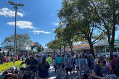 PHOTOS! Thanksgiving Crowds Have Arrived at Disney World!