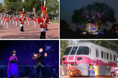 WDWNT Daily Recap (11/7/20): Biden Possibly Coming to Hall of Presidents, Anna’s Face Glitches in Frozen Ever After, Holiday Nighttime Projections Debut at Walt Disney World, Disney Springs Christmas Tree Stroll, and More