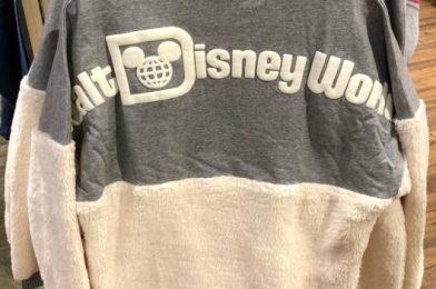 Fluffy Spirit Jerseys Are the Latest Disney World Trend! Check Out the Newest Design Here!