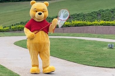 5 Winnie the Pooh Items Disney Fans Will LOVE! (And They’re All Available Online!)