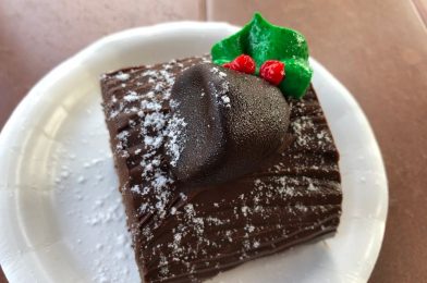 REVIEW: Magic Kingdom’s Decadent Yuletide Wishes!