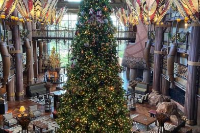 DISNEY PARK PICS: Animal Kingdom Lodge | Jambo House