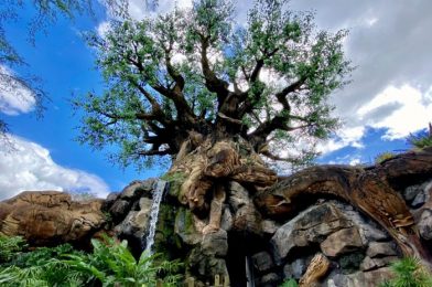 PHOTOS AND VIDEO! There’s a NEW Queue Video for Kilimanjaro Safaris at Disney’s Animal Kingdom!