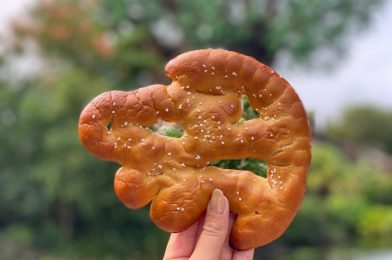 The King Has Returned! See Which Snack is BACK in Disney’s Animal Kingdom