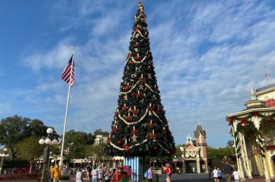 PHOTOS, VIDEO: Christmas Decorations Arrive at the Magic Kingdom for the 2020 Holiday Season