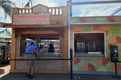 REVIEW: The Citrus Blossom Brings Back Orange Bird to the 2020 Taste of EPCOT International Festival of the Holidays