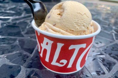 Spiked Eggnog Ice Cream? Check Out the 2020 Holiday Salt & Straw Ice Cream Flavors in Downtown Disney