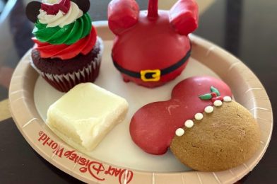 Review! Is This Classic Disney World Treat Any Better With a Holiday Makeover?