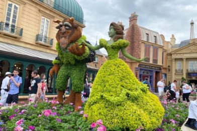 We Met Beauty and The Beast in DOG FORM Today in Disney World!