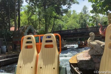 Kali River Rapids Added to Disney World’s Refurbishment Calendar