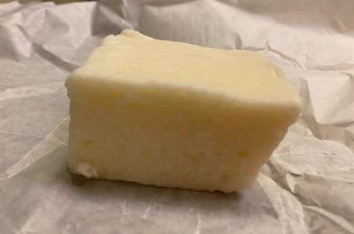 REVIEW: Eggnog Fudge from Disney’s Contemporary Resort