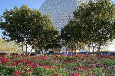 Theming Elements to be Added to EPCOT With TWO New Imagineering Permits